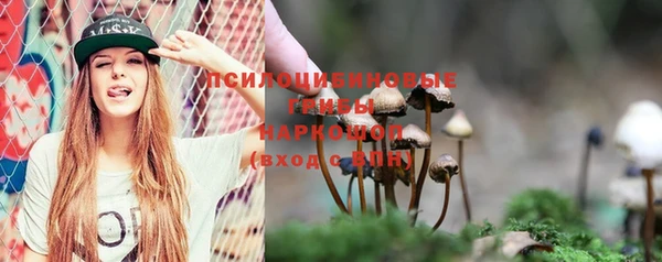 Альфа ПВП Елабуга