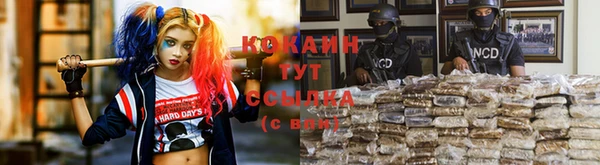 шишки Заволжье