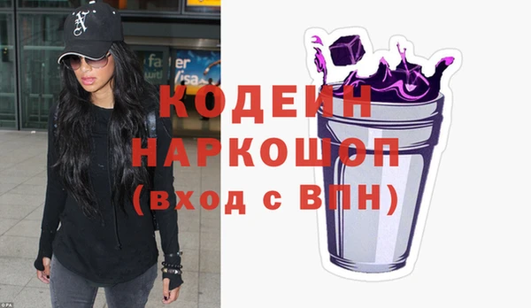 шишки Заволжье
