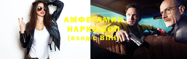 шишки Заволжье