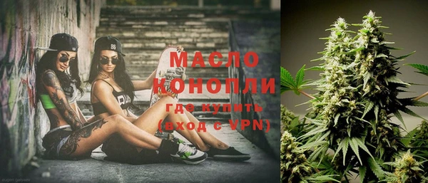 шишки Заволжье