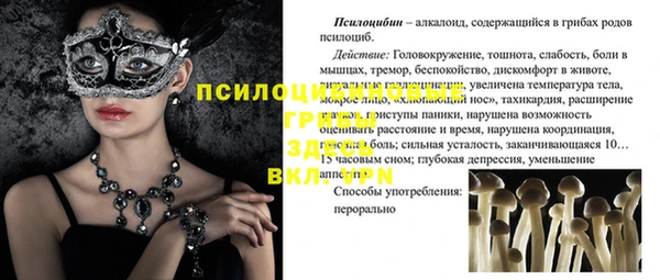 Альфа ПВП Елабуга