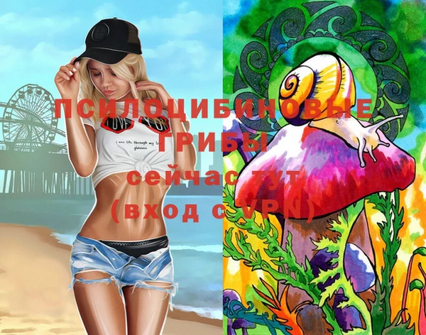 шишки Заволжье