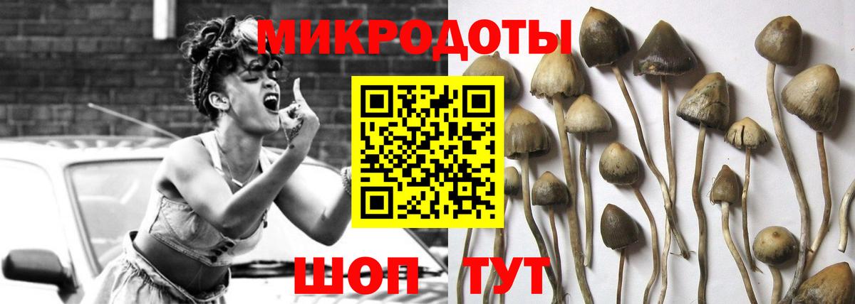 Ирбит  Галлюциногенные грибы прущие грибы  Вход с VPN  Псилоцибиновые грибы Psilocybine cubensis 